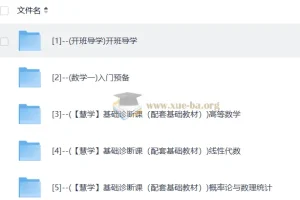 2027考研数学 聂岩新东方直通车