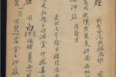 《德国某大学收藏的稀缺中医古籍》[PDF]