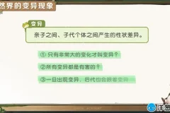 洋葱学院小学科学3-6年级动画课程全集
