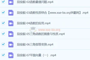 段俊毅 2024高三高考数学 暑假班