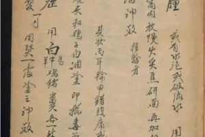 《德国某大学收藏的稀缺中医古籍》[PDF]