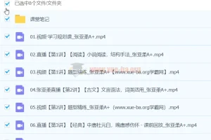 2024高中语文 高一张亚柔语文 春季班