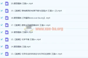 2023高考化学 王嫤 a+一轮复习 暑假班 秋季班更新22讲
