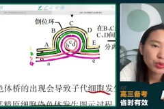 2024高三生物冲刺护航班-毛慧精讲