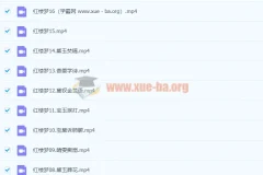 【完结】红楼梦(邵鑫，2022春季班）