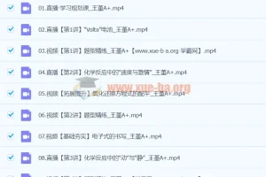 2024高一化学 王瑾 寒假班