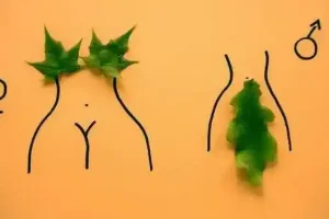 性科学书籍总汇