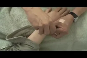 倪海厦中医全集：天纪、人纪、针灸、黄帝内经等经典教程