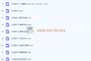 【完结】红楼梦(邵鑫，2022春季班）