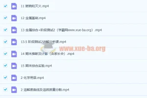 杨静然 2020春 初三中考化学春季冲顶班15讲带讲义