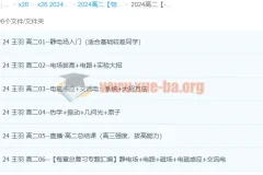 高中物理 2024高二物理 王羽物理