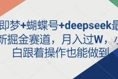即梦+蝴蝶号+deepseek最新掘金赛道