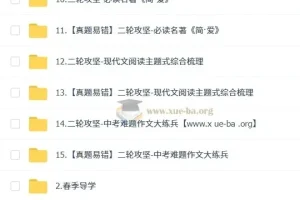 2025 段微微 初三语文 中考语文培训班 春上·全国版·A+