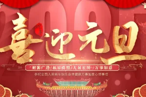 2024-2025 各平台跨年晚会合集