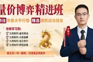 刘骥才量价博弈高级精进班：精选高阶战法组合