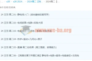 高中物理 2024高二物理 王羽物理