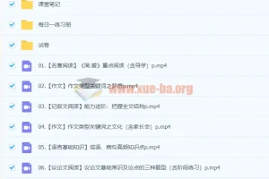 2022初三中考语文 暑假冲顶班 柳宁