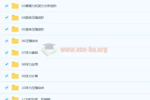 杜春雨 2021春 初二物理直播菁英班14讲带讲义