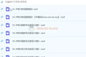 2024考研数学密训押题班 冲刺带练