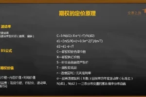 陈凯期权交易系统