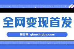新手实操单号日入500+，渠道收益稳定，项目可批量放大