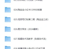 《最新热门抖音付费课程合集》[MP4][150GB]