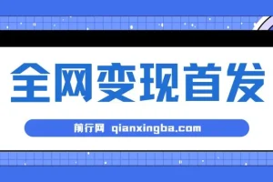 新手实操单号日入500+，渠道收益稳定，项目可批量放大