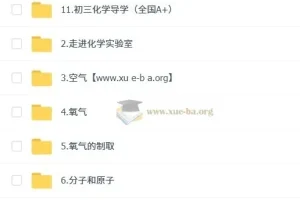 2025 陈潭飞 初三化学中考化学培训班 （秋上·全国版·A+）