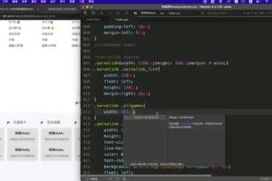 网易云课堂9大前端项目实训营：从入门到就业