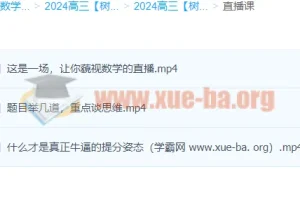 2024高三高考数学 树成林数学 一轮