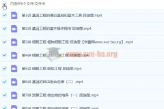 段瑞莹 2023高二生物 寒假班