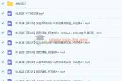 2024高三高考物理 何连伟 A+寒假班