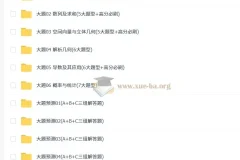 【大题精做】冲刺2025年高考数学大题突破+限时集训（新高考专用）