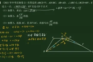 王若钊初中数学相似专题精讲视频课程