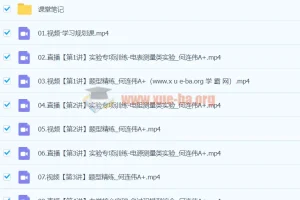 2024高三高考物理 何连伟 A+寒假班