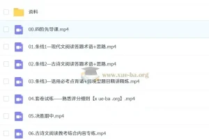 2025高一高二语文全年 国家伟语文 全国卷+新高考