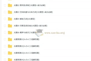 【大题精做】冲刺2025年高考数学大题突破+限时集训（新高考专用）