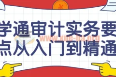 学通审计实务要点从入门到精通课