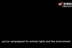 2015-2023年英语四六级真题解析全集：高效备考指南