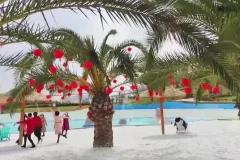 手机短视频拍摄与剪辑：从新手到专家