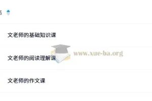 文老师《小学语文课程合集 (基础知识+阅读理解+作文) 》 66GB
