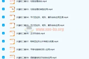 初中数学 潘佳生 2021春 初二数学春季班 15讲完结