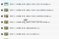 一分钟速算 幼儿数学启蒙 指算法和加减乘除法 40集