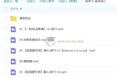 2025初三中考数学 李爽 全年 暑假班 秋季班 寒假班 春季班