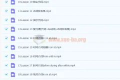 抖音网红英语名师 雪梨初级英语语法课 71讲带讲义