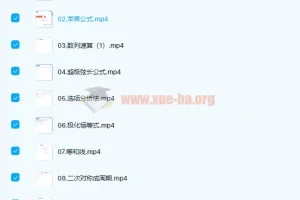 刘天麒高中数学大招课 七哥大招秀