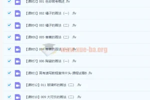 中央美院美考课程 美术 艺术高考速写 素描视频教程合集