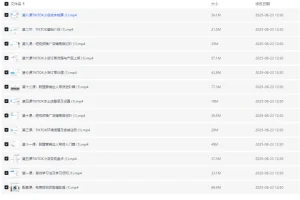 【TikTok跨境电商全流程课程：从入门到实操，掌握流量变现与小店运营】