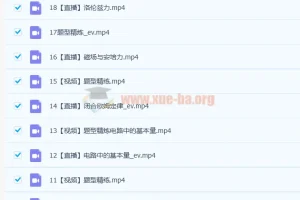 2023高二物理 龚政 a+班暑秋联报 暑假班更新19讲