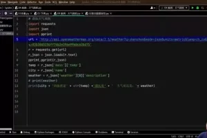 精通Python爬虫与JS逆向：从入门到实战，掌握高级爬虫技巧